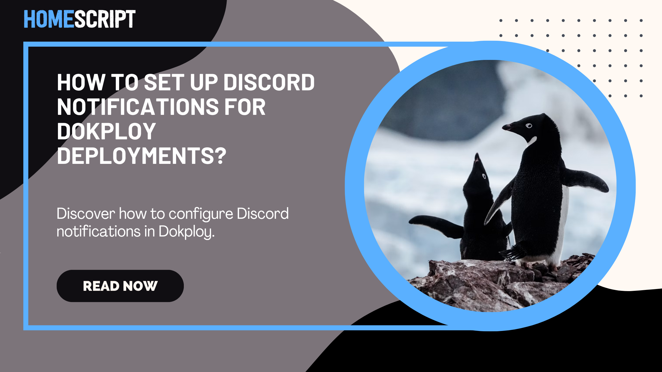 How to Set Up Discord Notifications for Dokploy Deployments and Server Events?